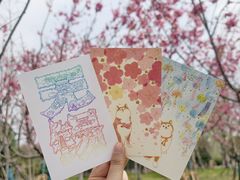 -梁鸿国家湿地公园