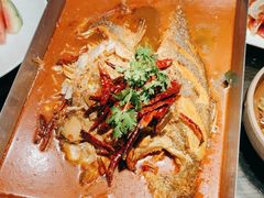 -永安水煮活鱼·仪征土菜院子