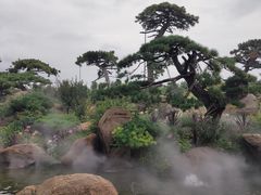 -罗红摄影艺术馆