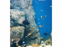 -福州罗源湾海洋世界旅游区