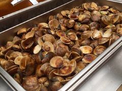 龙达温泉生态城-龙达温泉生态城