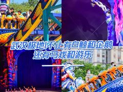 -海合安武汉极地海洋公园