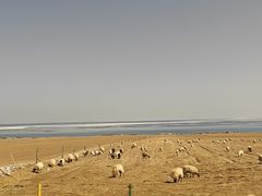 -青海湖二郎剑景区