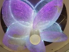 -圣丰索菲特·2 On 988 Café 自助餐厅