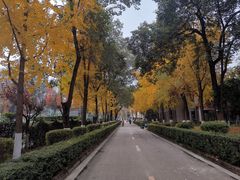 -四川大学(华西校区)