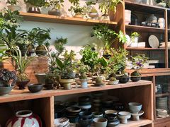 -自由生长植物工作室(深港花卉中心店)