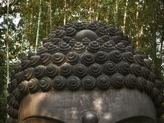 -杭州植物园