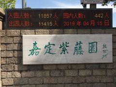 -嘉定紫藤园