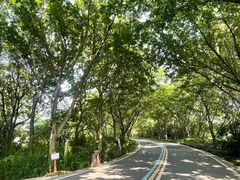 -同里国家湿地公园