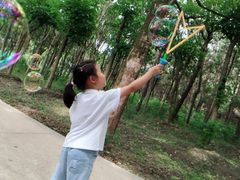 -昆山城市生态森林公园