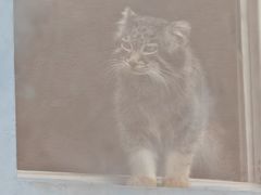 -青藏高原野生动物园