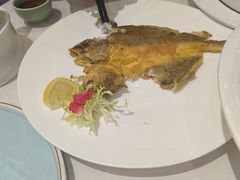 -雅盛品931海鲜酒家