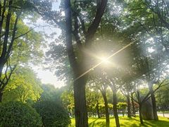 -唐城墙遗址公园