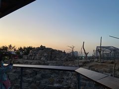 -太原动物园