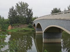-东郊湿地公园