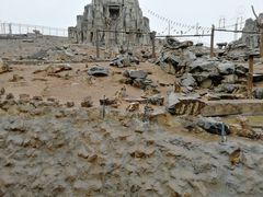 -石家庄市动物园