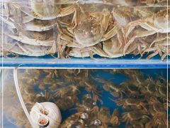 -阳澄湖大闸蟹·琼灵阁牌品牌连锁(吴中总店)