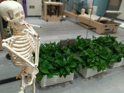 -平行宇宙普拉提健身