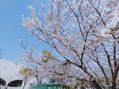 -龙美术馆(西岸馆)