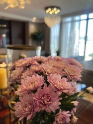 -美健盛世·美容SPA连锁