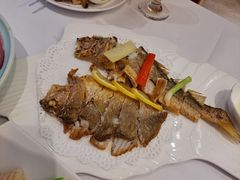 -骏莱海鲜鱼港(五角场店)