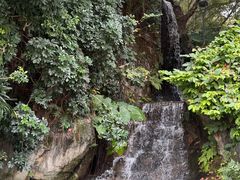 -金鸡山公园