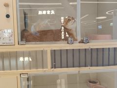 -北京长安天街