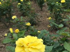 -人民公园(罗湖区)