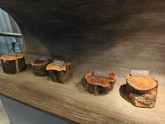 -青藏高原自然博物馆
