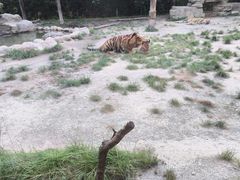 -上海野生动物园