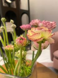 -尊尚柏丽美容SPA