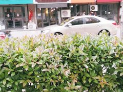 -鱼满楼(西双湖店)