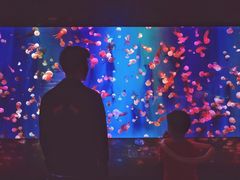 -成都浩海立方海洋公园