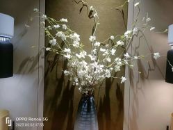 -雪绒花月子会所(万安店)