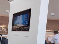 -虹桥机场V2贵宾休息室