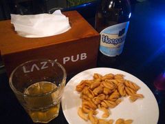 -懒人酒馆·Lazypub