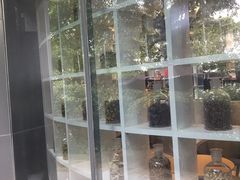 -MAMACHA妈妈茶(岳麓山店)