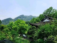 景观位-嘉龙茶庄
