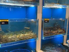 -赶海部落海鲜城(海阳路店)