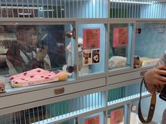 -FAELING PETS美天灵宠物(合生汇店)