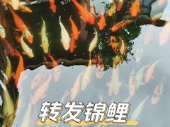 -麦园农庄·西江河鲜