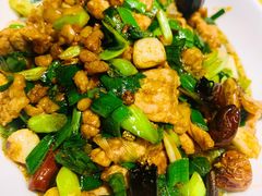 -滇铺子·云南特色菜·第九届野生菌美食节(东风东路c86店)