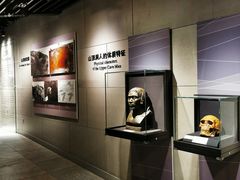-北京周口店北京人遗址博物馆