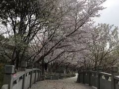 -范蠡湖公园