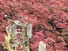 -木兰云雾山