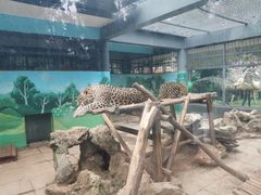 -昆明动物园