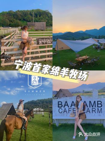 宁波探店｜济州岛同款绵羊牧场