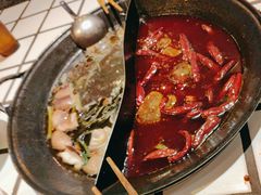 -朱光玉火锅馆(正弘城店)