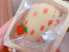-关西国际机场直营免税店