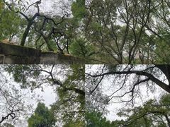-越秀公园(地铁站)